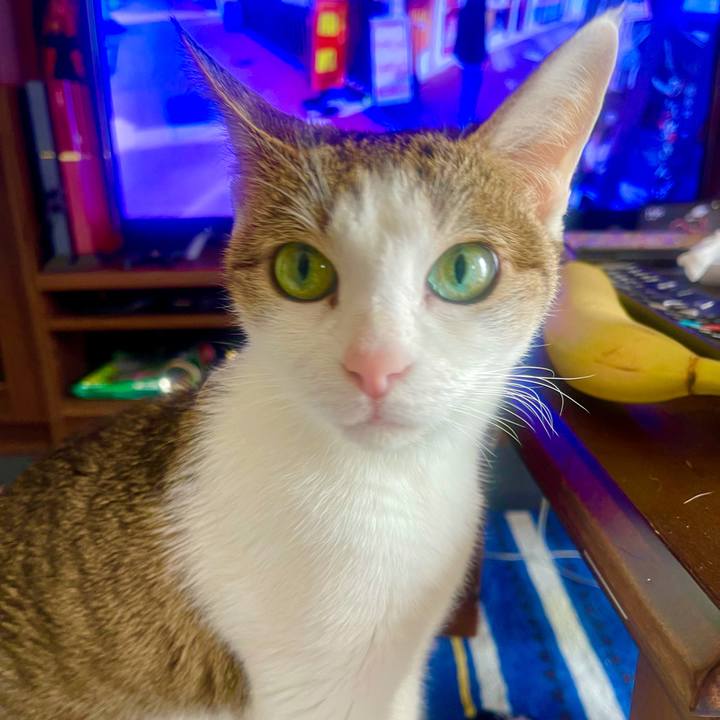 A61b1470 220d 4daf b822 f47b82be2792 1637029638187