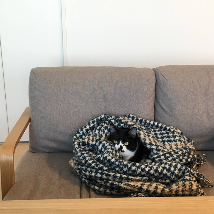 A61b3aef b24e 434b 817c 893fcee14a6a 1518444357340