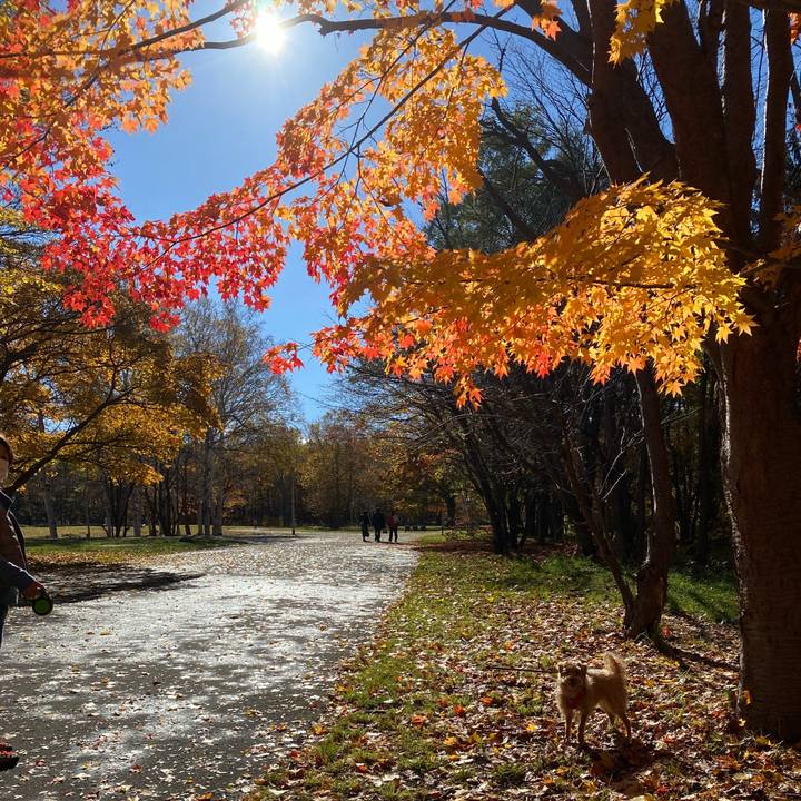 A61b3e23 6665 4712 b9a9 7ccf2bd697fe 1667178713556