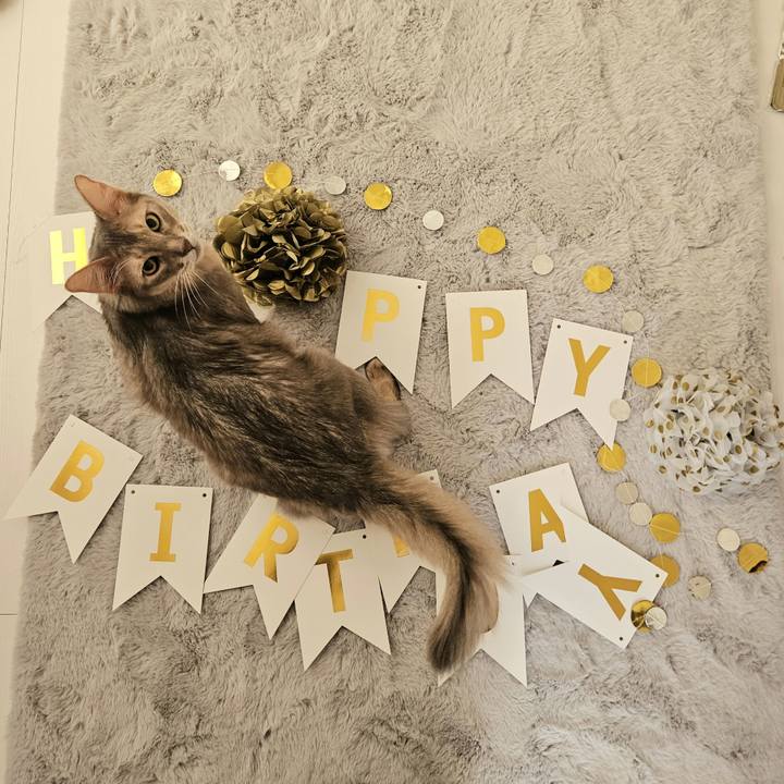 A61b47a4 6451 4fa8 a610 fad6bb8feb6d 1701837368244