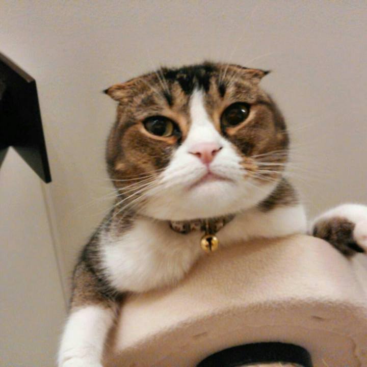 A61baa63 6e32 4cfb 87e7 86828e940617 1515892752321