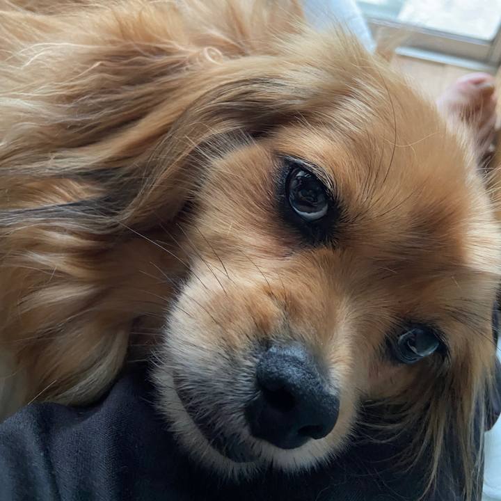 A61bf4c0 ed97 4b68 a343 cf6b84fe353c 1621201019045