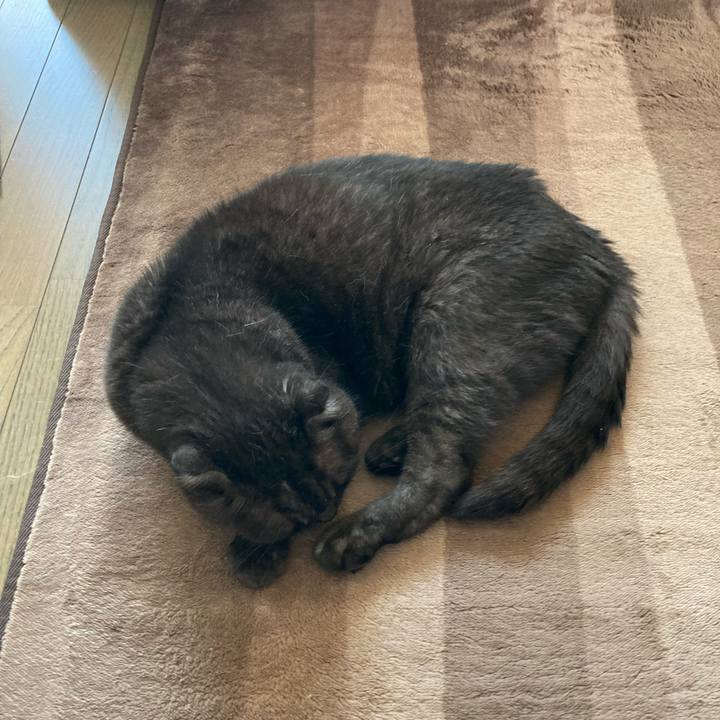 A61c0a37 47d6 456d b7b4 833f86435f07 1633398709418