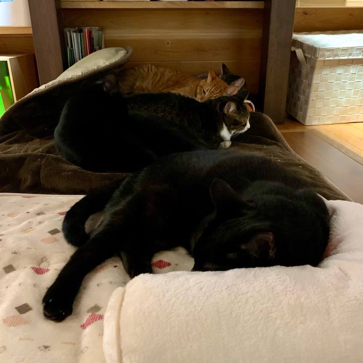 A61c1b74 3547 43c7 88d5 9ec392e856c6 1669548557850