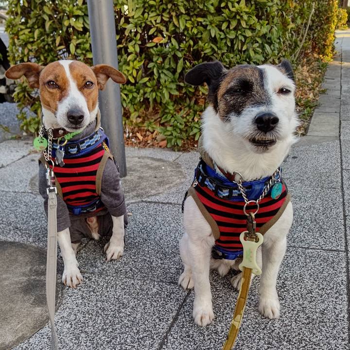 A61c30a8 b526 43ac acd7 433d954c78d4 1646173103514