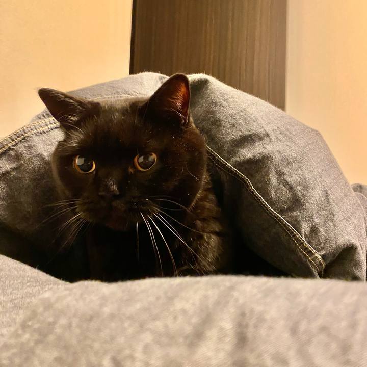 A61c4814 99de 4e25 9bcd 33f1ca2fa4e1 1702731401624