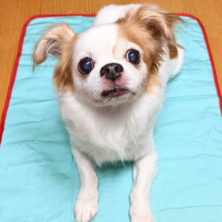 A61c72cc a348 4664 848d 693619613951 1629802900713