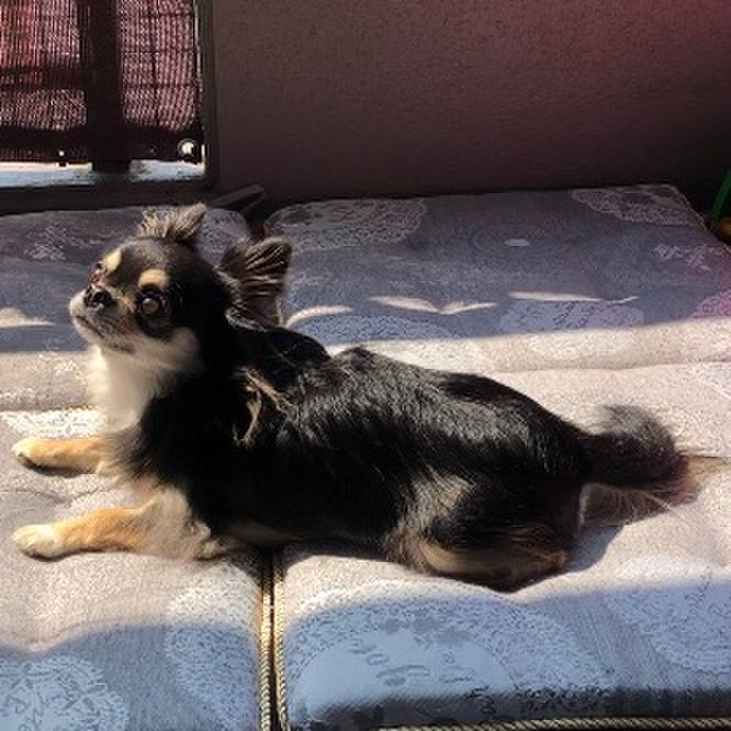 A61c79e7 2c0a 46d9 8b48 2b86ae0dec6a 1598080952845