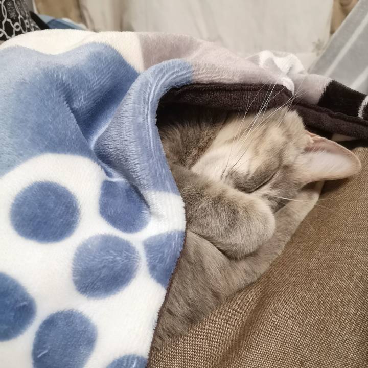 A61cb277 0691 4974 81b6 b5b9daac43cf 1579313304513