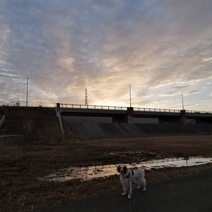 A61cb503 9ed1 4b43 b5e9 6966b39ccd00 1579911252731