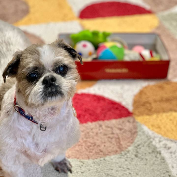 A61cb984 db90 49cc b4ac 07787bd3f664 1688210677377