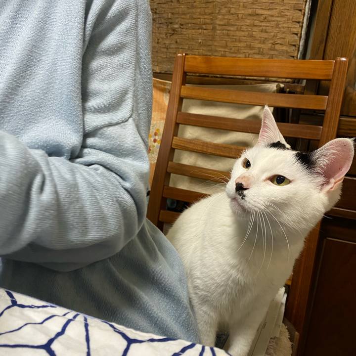 A61cdc6f fdbe 4a58 a8bf fab35b7c3f30 1616670168626