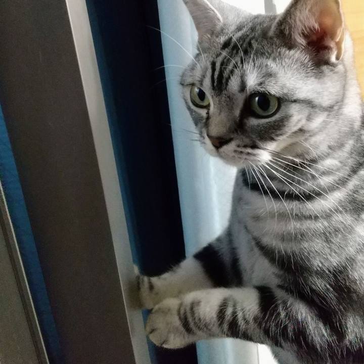 A61ce8f8 dc30 422c 9ba3 e8b65038c53d 1699089790098