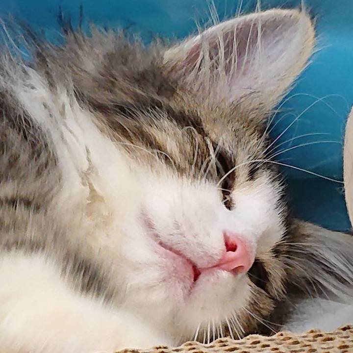 A61d099b e2d0 4404 9024 33767650c263 1575191203516