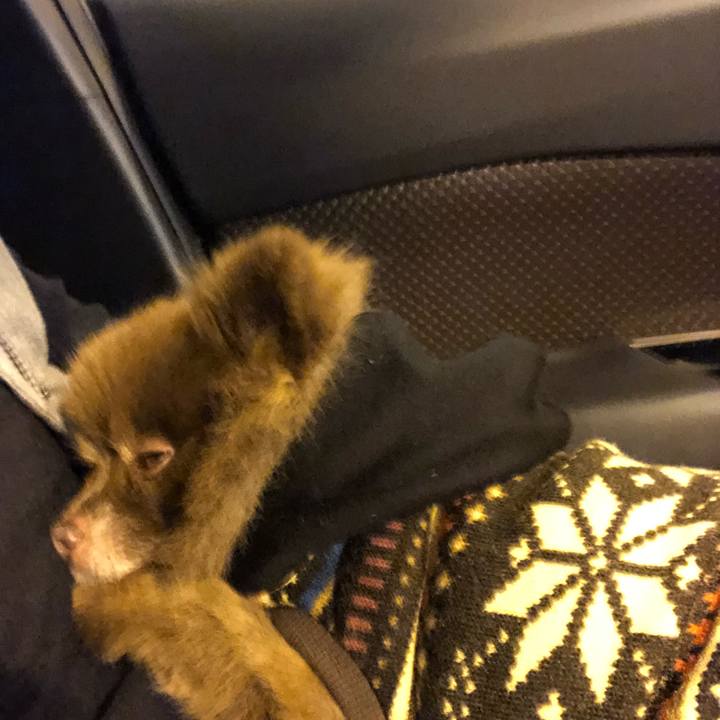 A61d2edd 5fc0 4ce7 ac48 1bc8b796cb68 1542669025338