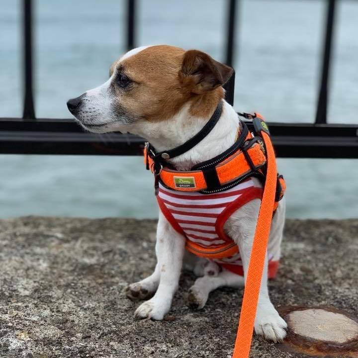 A61d7f94 0bfd 4f65 851b 546e826c1c8b 1682946937616