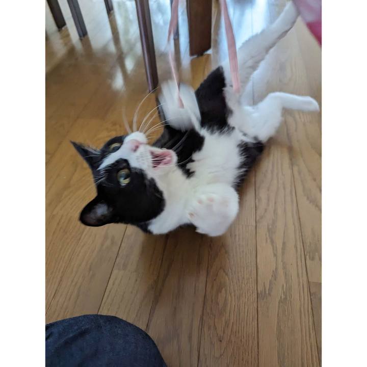 A61d80f3 43ca 4408 9e13 45d35d716b6f 1692502265187