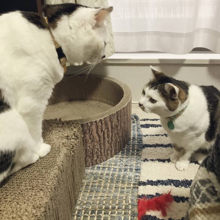 A61d9972 1ff7 4bd1 beef 51fc9268453d 1551664990251