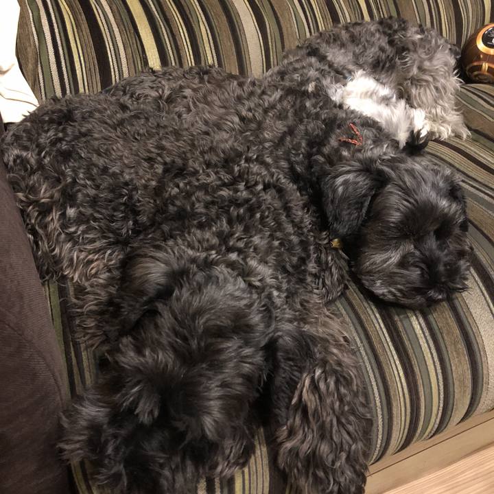 A61d9e3f f91c 4717 b629 dcbcc0da6b54 1577787276824