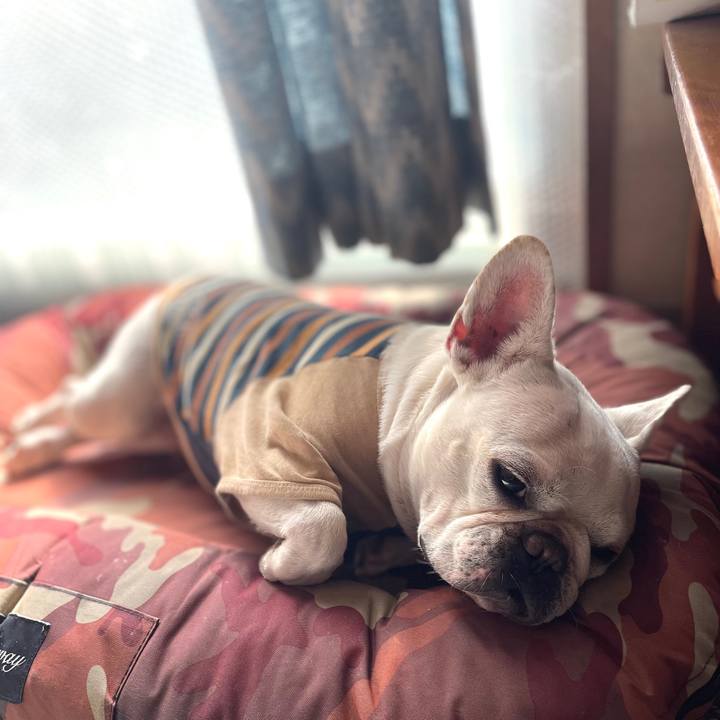 A61df82a d8bb 4530 b7eb 8f98202341e3 1730684947516