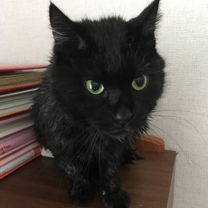 A61e044c 2d8d 4326 ade8 acaff700730b 1546227320519