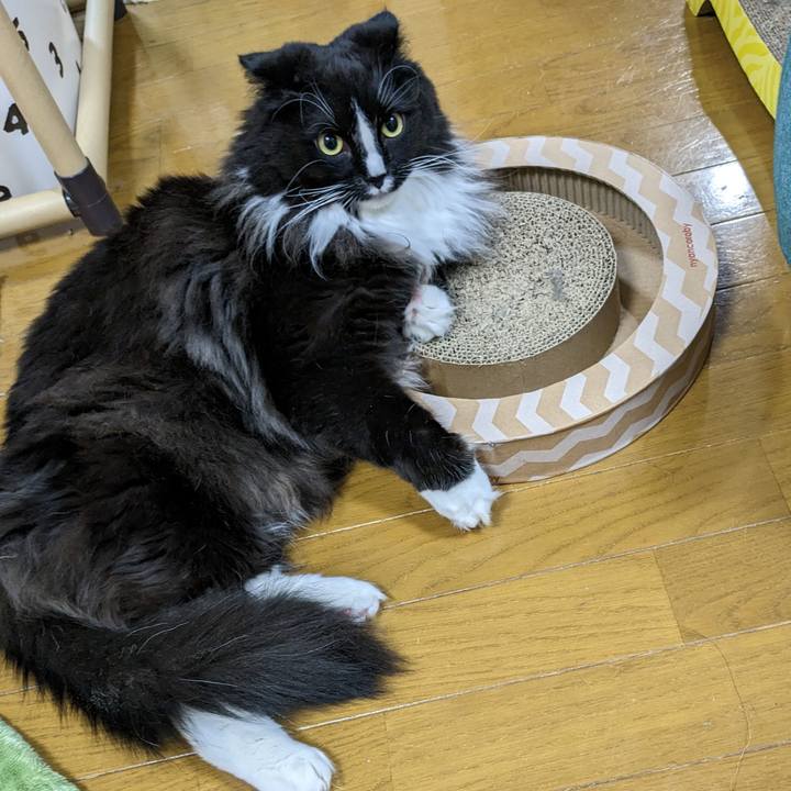 A61e150f 92dc 4d0a ac06 519320700805 1679056960635