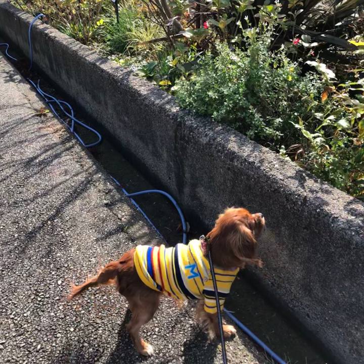 A61e22b3 7699 4c37 b113 1b598c3efd75 1544322419805