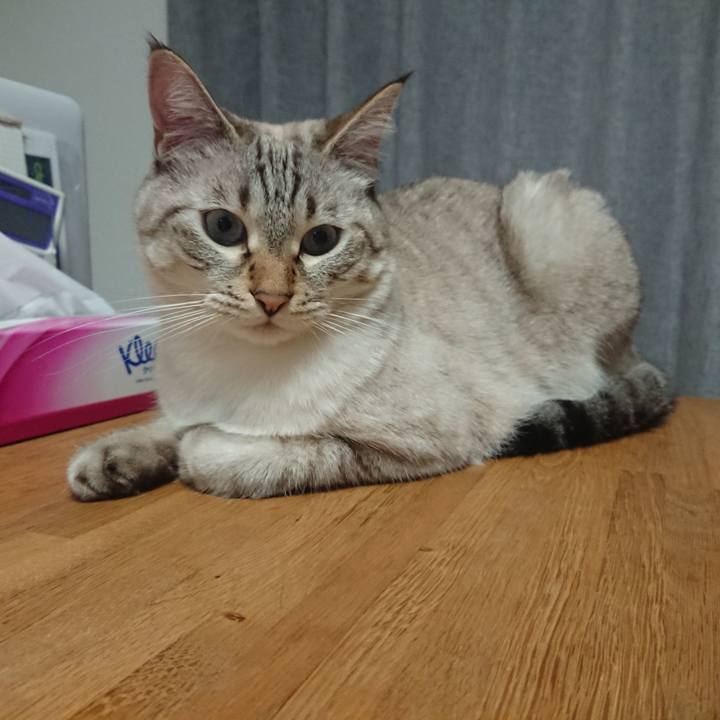 A61e314c 7a75 445a 910d 044c5b5f5e66 1570443037409