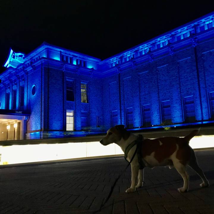 A61e3ef8 fb23 49c3 81d1 9352faead67f 1593602577507