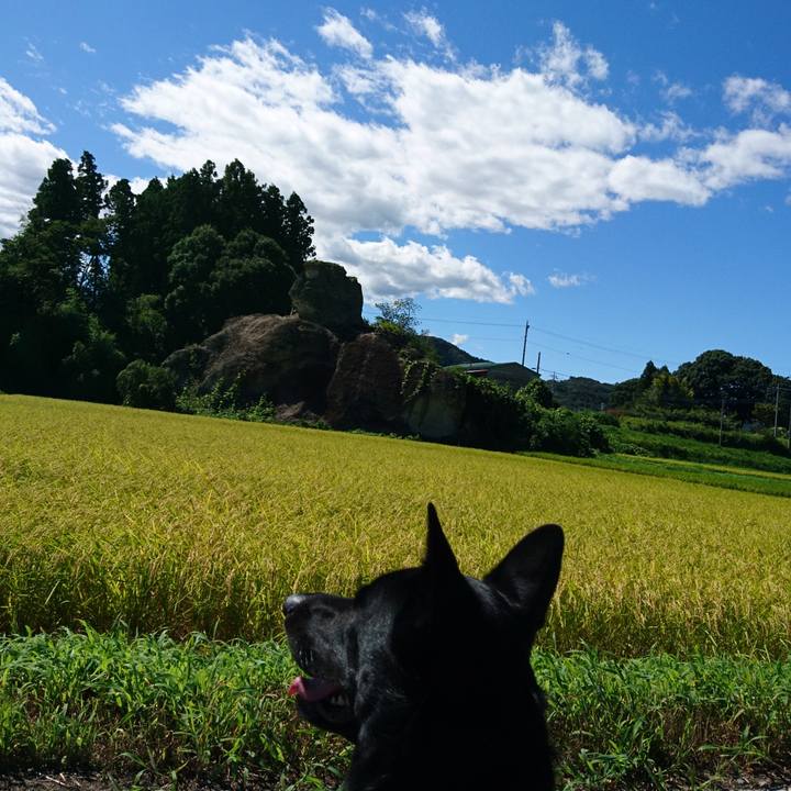 A61e4997 749a 43ae b2dd 65809d0640a9 1534483105702