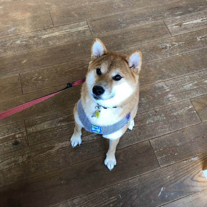 A61ef6a6 803f 47e0 ad38 e2021ad699e6 1572156677003