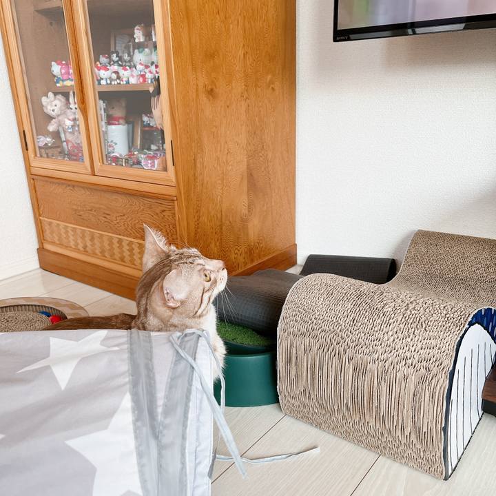 A61f319e b3ec 4e52 8c30 21410e3b2153 1653173634362