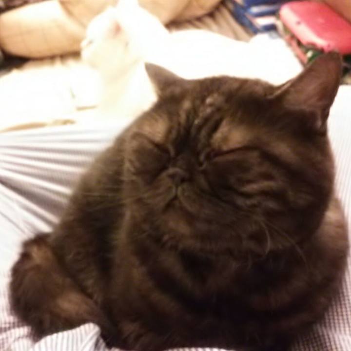 A61f8a3b eb88 46f6 a35e ca233439f86a 1509531376085