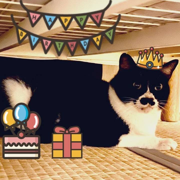 A61fa16d c2e7 45ac 9965 dc72d2d4ccf5 1682902490468