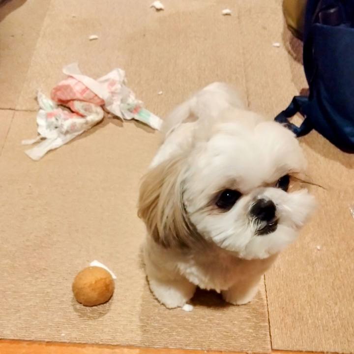 A61fc082 fdc0 4411 a8a8 2b294cbc20d4 1677397028009