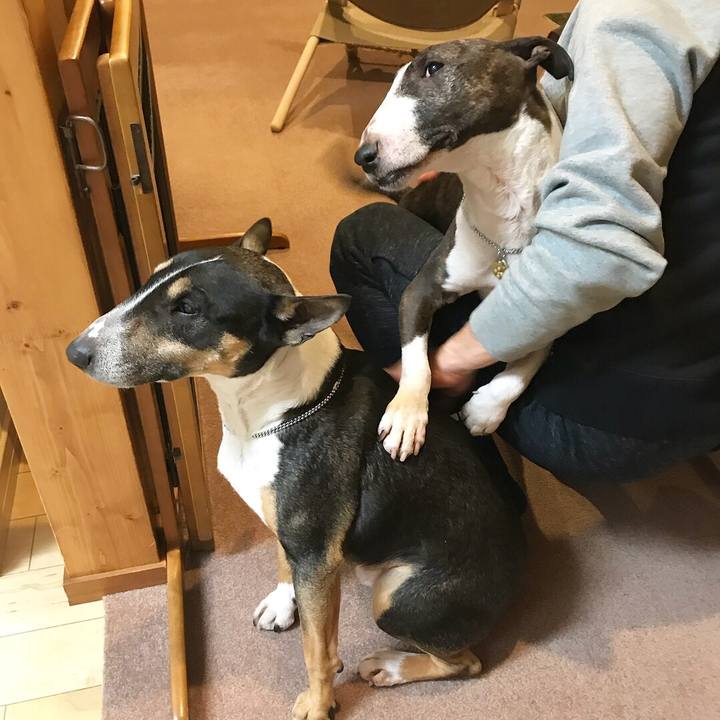 A61feccf ef26 4ba9 9702 f766c2487818 1517916979900