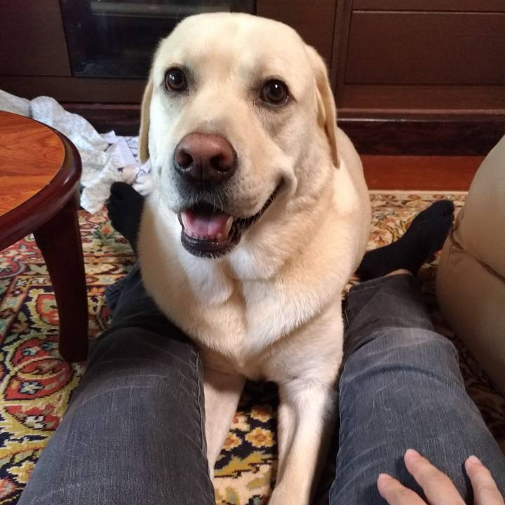 A61ff553 aa7b 4214 bfc1 a95ba782fd77 1599882020232