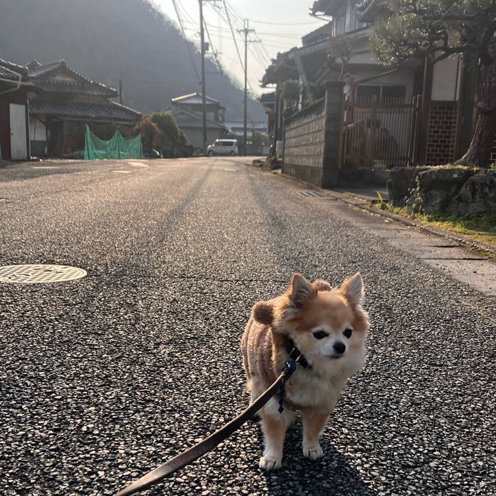 A6202b69 d0a5 4a6a 88a6 f5382269ebd1 1767094168708