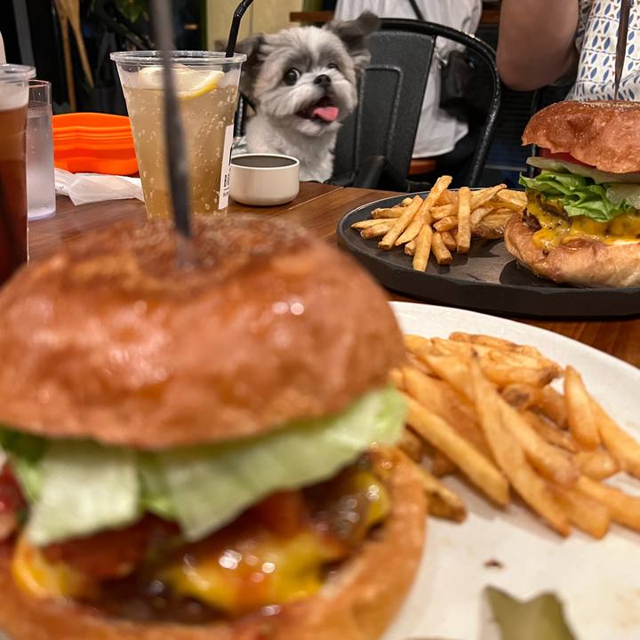 A6202e3e 0177 457f 9756 172e7d1d925f 1722734384532