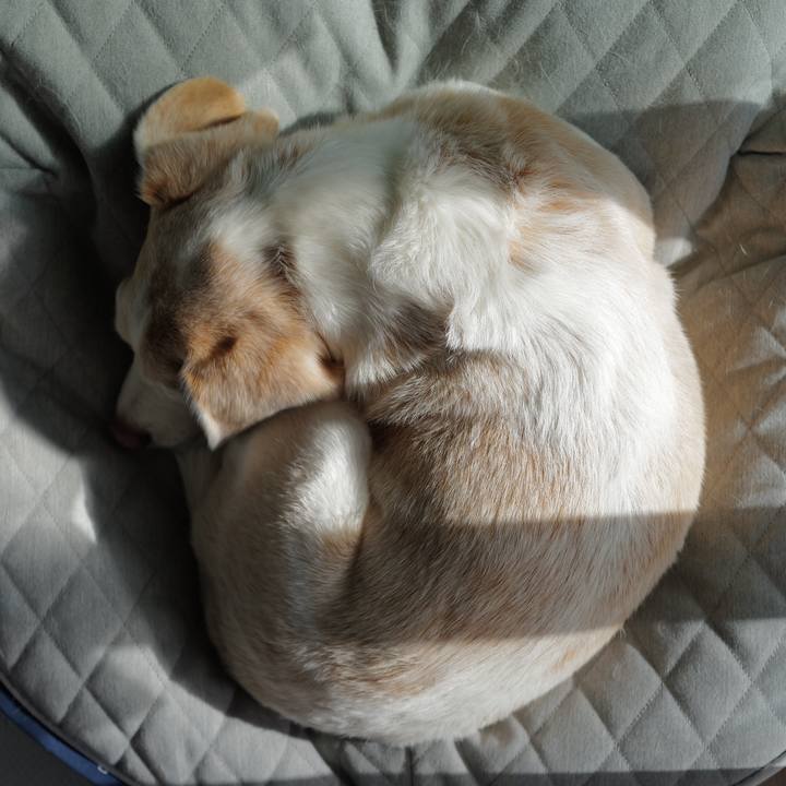 A6204e03 8c16 4d6d 8503 fea7b34743dc 1762913634371