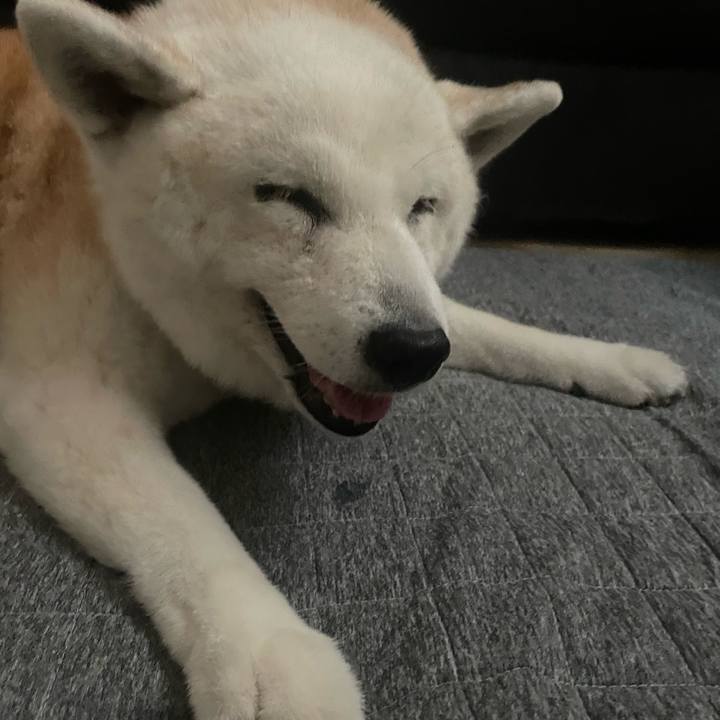 A620b31e 0fb9 4d98 8ac9 984db2d73509 1725614657415