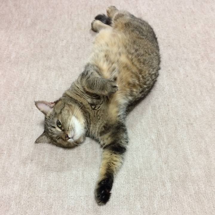 A620cad2 d024 4d5d 9f43 7339cd08959f 1536880097002