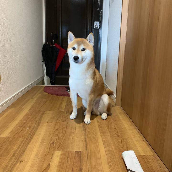 A6210f8c eb4f 4ee1 ba21 9363ecb4eb44 1571402285007