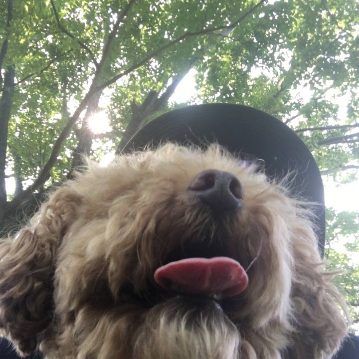 A6213b18 f82a 4cc4 b593 354fc9a597a3 1530267185800