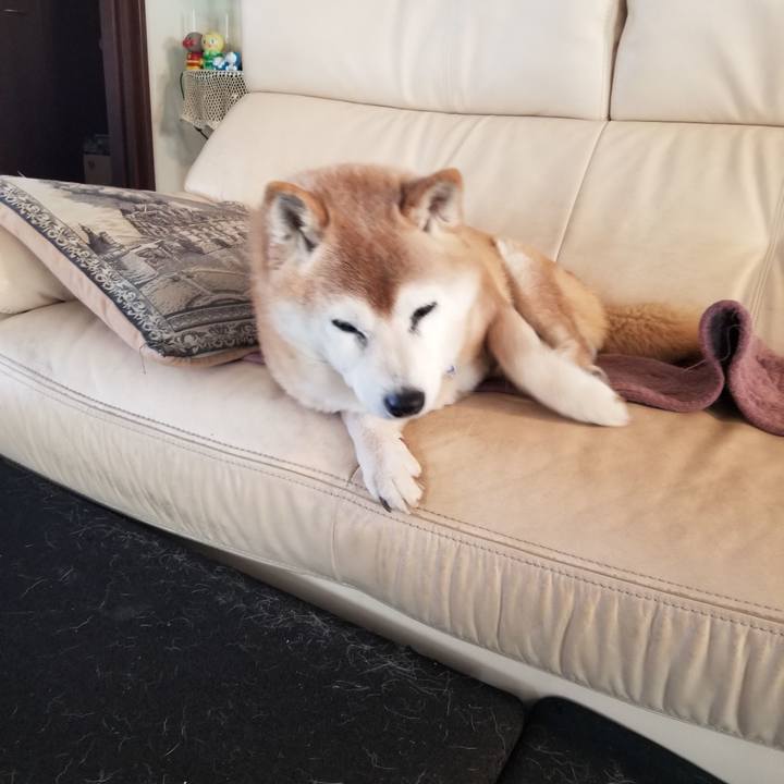 A6217fe1 4aee 4fc0 892d ed15866f1a1e 1739603487981