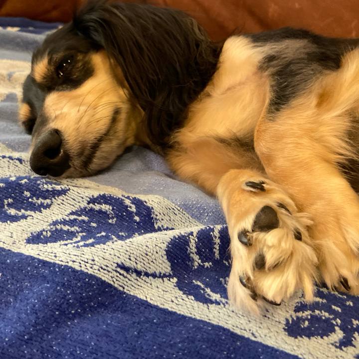 A62199a3 a91c 4190 bdc4 99c21c21edd5 1731891506483