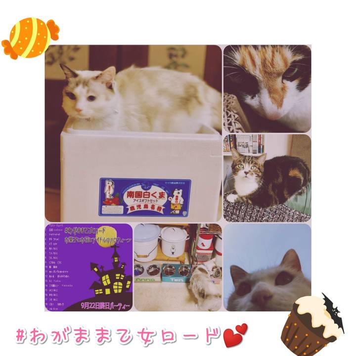 A621e8e8 41e0 46e7 8fa7 143b06bc076a 1567912933605