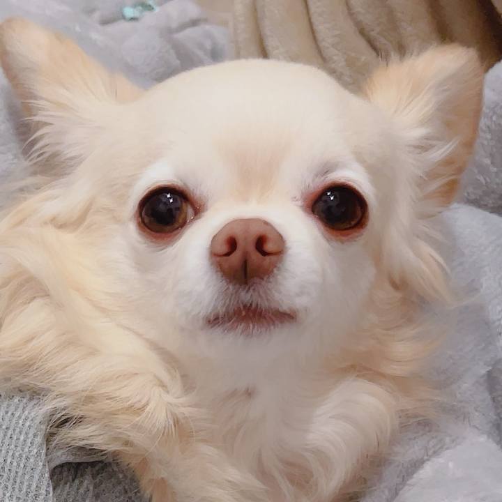 A622340e cee4 4714 8fca bd5f6d916360 1773142053006