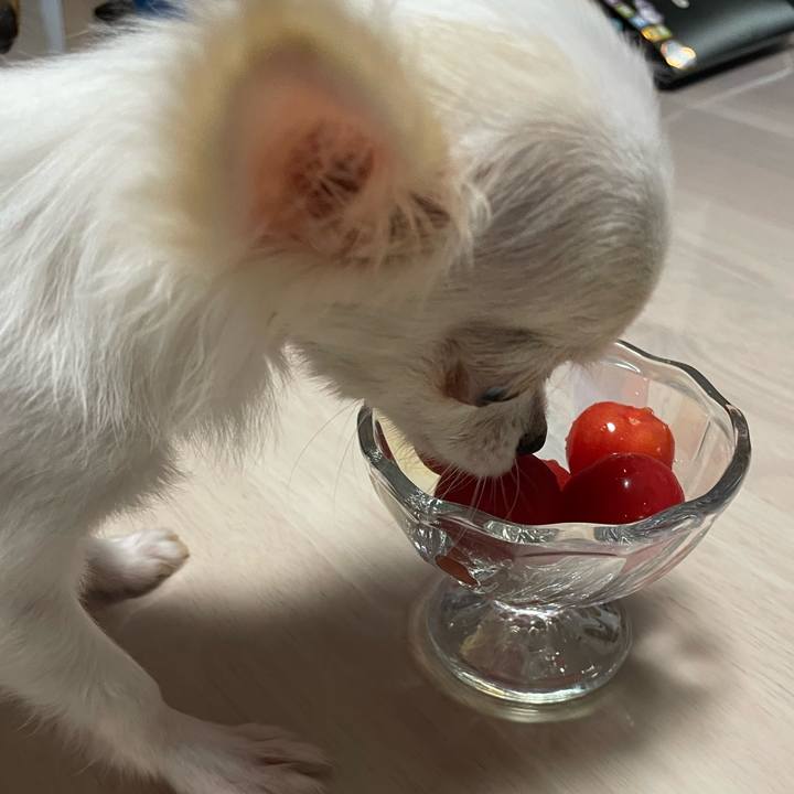 A6223e6b 7822 43f3 8570 4f28a0daf327 1673871731843