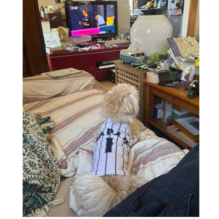 A6227b00 0a26 4ac5 aad1 b444653b3487 1773537157274